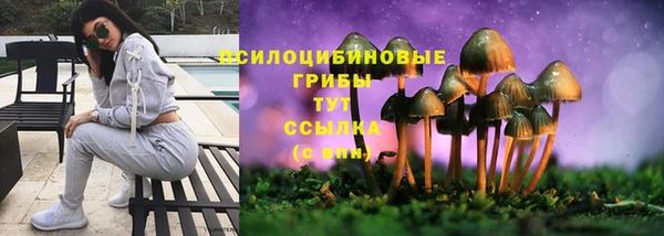 прущие крисы Наволоки