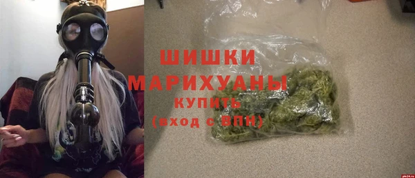 дмт Арсеньев