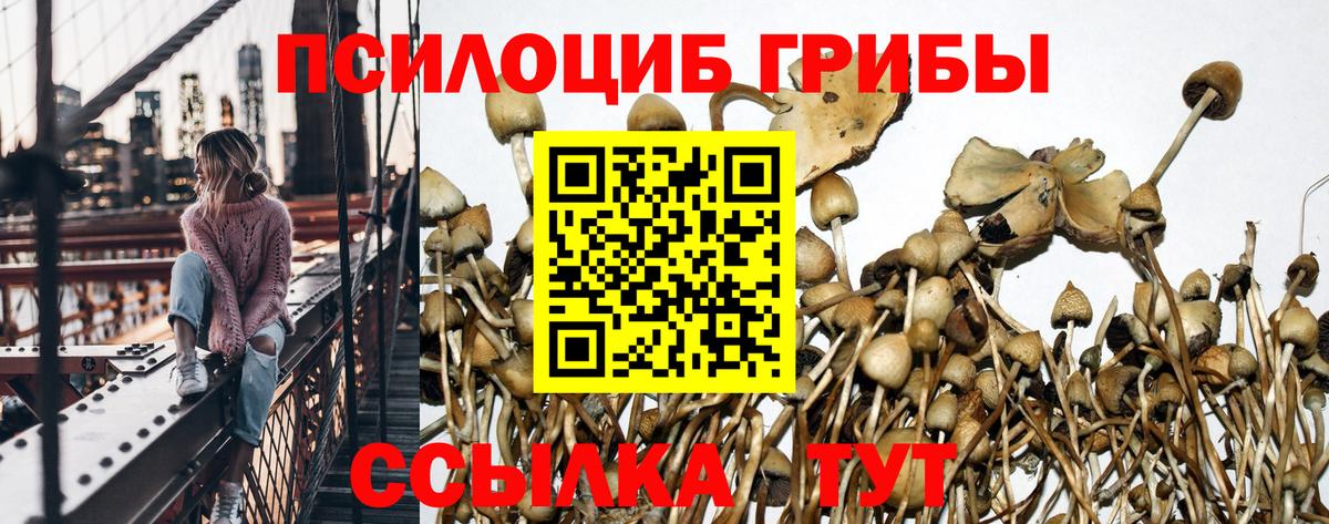 Галлюциногенные грибы прущие грибы Воткинск