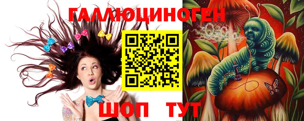 Псилоцибиновые грибы Psilocybine cubensis  Воткинск 